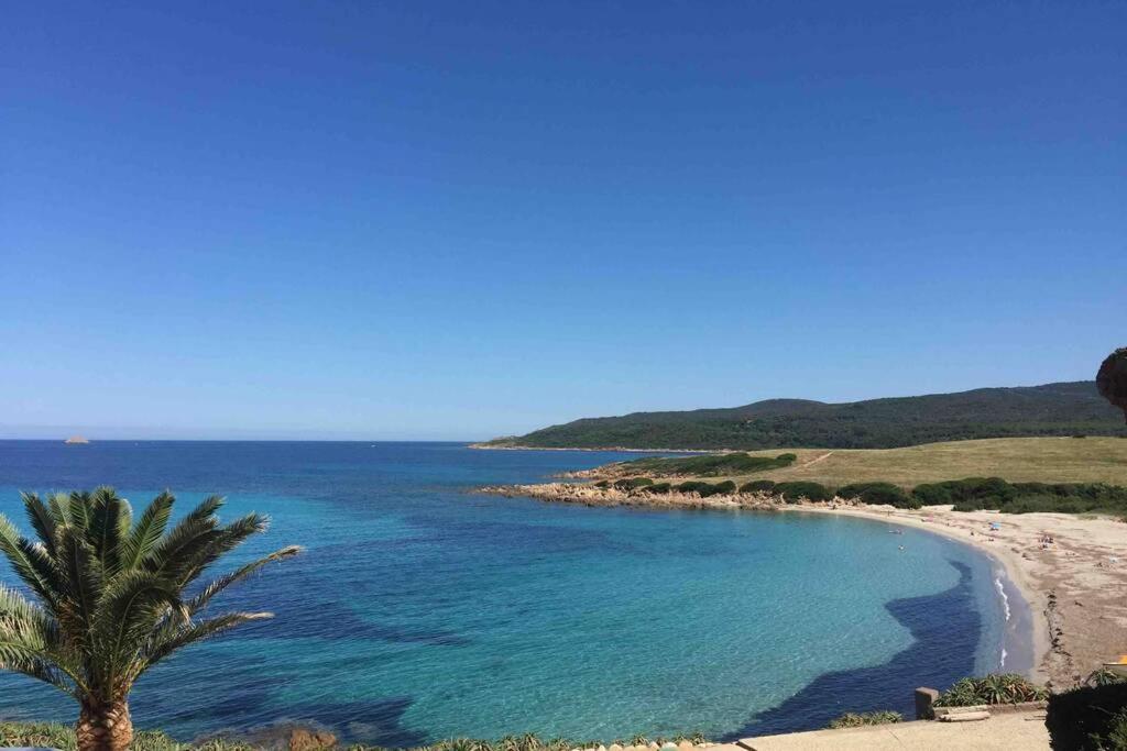 Ajaccio Magnifique T2 Neuf 40M2 Avec Balcon Au Trottel 4 Couchages Wifi Clim Parking Plage A Pieds 100M ภายนอก รูปภาพ