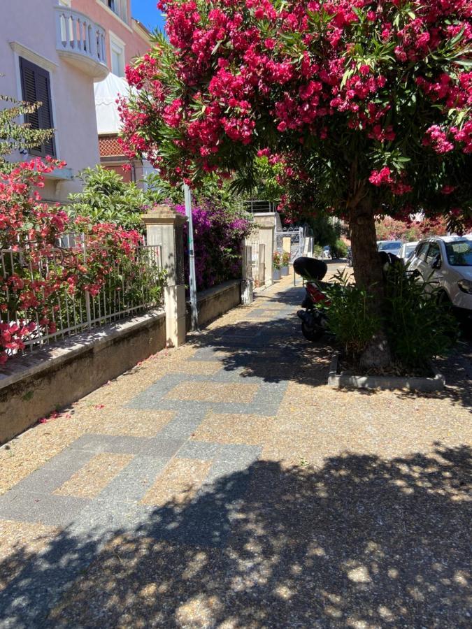 Ajaccio Magnifique T2 Neuf 40M2 Avec Balcon Au Trottel 4 Couchages Wifi Clim Parking Plage A Pieds 100M ภายนอก รูปภาพ