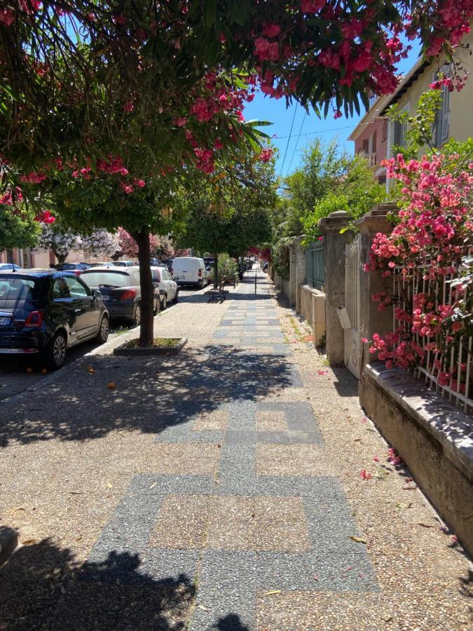 Ajaccio Magnifique T2 Neuf 40M2 Avec Balcon Au Trottel 4 Couchages Wifi Clim Parking Plage A Pieds 100M ภายนอก รูปภาพ
